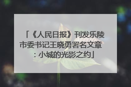 《人民日报》刊发乐陵市委书记王晓勇署名文章：小城的光影之约