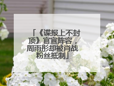 《谍报上不封顶》官宣阵容，周雨彤却被肖战粉丝抵制