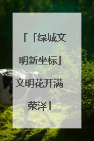 「绿城文明新坐标」文明花开满荥泽