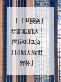「世预赛」梦断雅加达！国足0比1负于印尼无缘世界杯