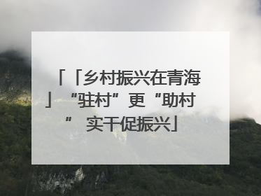 「乡村振兴在青海」“驻村”更“助村” 实干促振兴