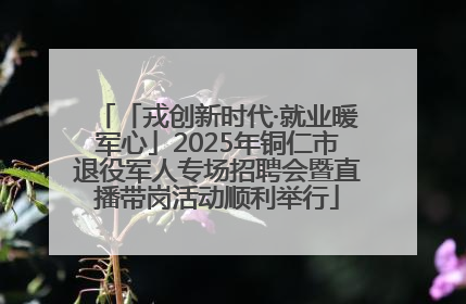「戎创新时代·就业暖军心」2025年铜仁市退役军人专场招聘会暨直播带岗活动顺利举行