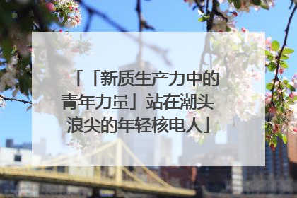 「新质生产力中的青年力量」站在潮头浪尖的年轻核电人