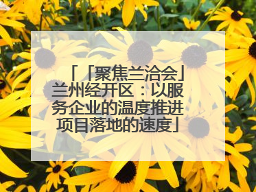 「聚焦兰洽会」兰州经开区：以服务企业的温度推进项目落地的速度