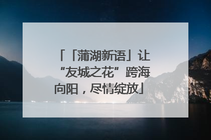 「蒲湖新语」让“友城之花”跨海向阳，尽情绽放