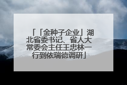 「金种子企业」湖北省委书记、省人大常委会主任王忠林一行到依瑞德调研