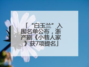 “白玉兰”入围名单公布，浙产剧《小巷人家》获7项提名