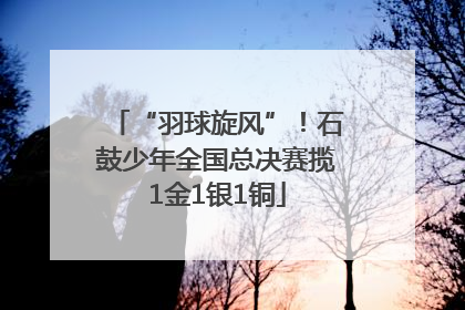 “羽球旋风”！石鼓少年全国总决赛揽1金1银1铜