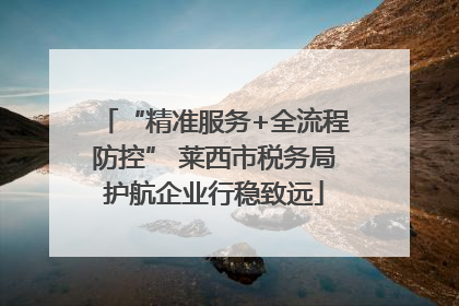 “精准服务+全流程防控” 莱西市税务局护航企业行稳致远