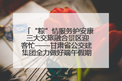 “粽”情服务护安康 三大交旅融合景区迎客忙——甘肃省公交建集团全力做好端午假期景区运营工作
