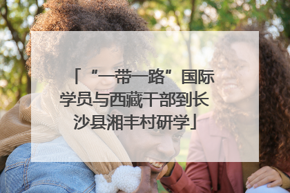 “一带一路”国际学员与西藏干部到长沙县湘丰村研学