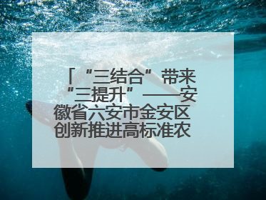 “三结合”带来“三提升”——安徽省六安市金安区创新推进高标准农田建设