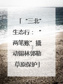 “三北”生态行：“两笔账”撬动锡林郭勒草原保护