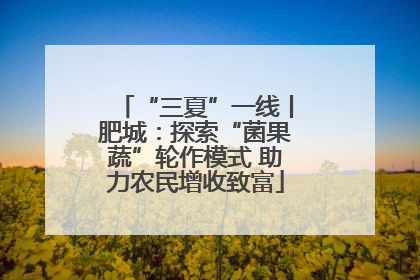 “三夏”一线丨肥城：探索“菌果蔬”轮作模式 助力农民增收致富