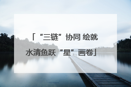 “三链”协同 绘就水清鱼跃“星”画卷