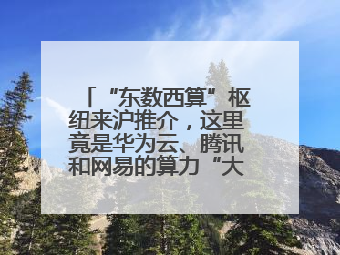 “东数西算”枢纽来沪推介，这里竟是华为云、腾讯和网易的算力“大本营”