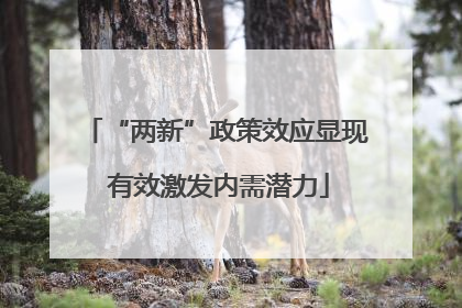 “两新”政策效应显现 有效激发内需潜力