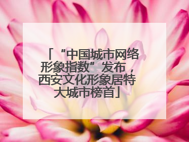 “中国城市网络形象指数”发布，西安文化形象居特大城市榜首