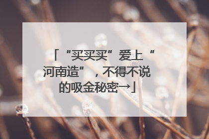 “买买买”爱上“河南造”，不得不说的吸金秘密→
