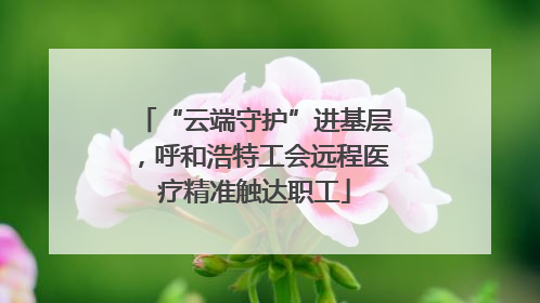 “云端守护”进基层，呼和浩特工会远程医疗精准触达职工