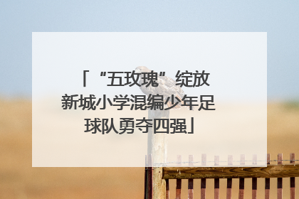 “五玫瑰”绽放 新城小学混编少年足球队勇夺四强