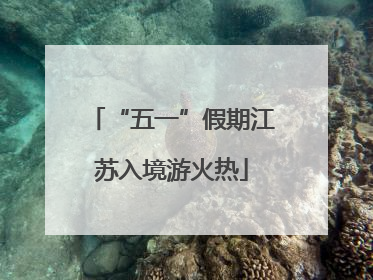 “五一”假期江苏入境游火热