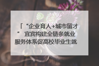 “企业育人+城市留才” 宜宾构建全链条就业服务体系促高校毕业生就业｜您牵挂的四川