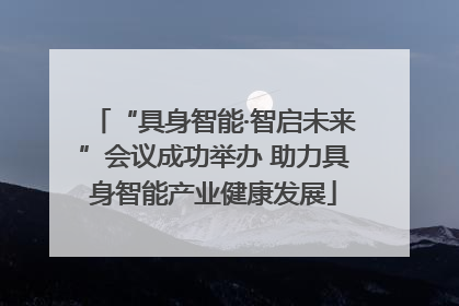 “具身智能·智启未来”会议成功举办 助力具身智能产业健康发展