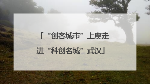 “创客城市”上虞走进“科创名城”武汉
