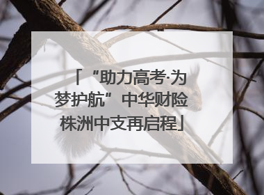 “助力高考·为梦护航”中华财险株洲中支再启程