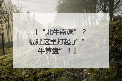 “北牛南调”？福建这里打起了“牛算盘”！