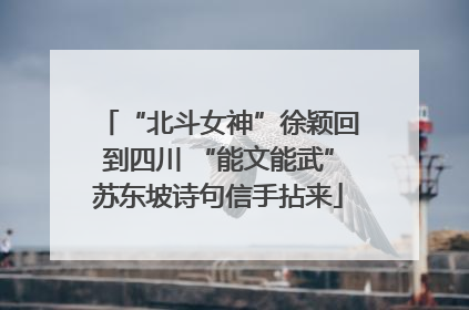 “北斗女神”徐颖回到四川 “能文能武”苏东坡诗句信手拈来