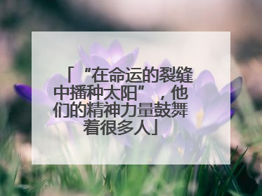 “在命运的裂缝中播种太阳”，他们的精神力量鼓舞着很多人