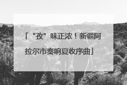 “孜”味正浓！新疆阿拉尔市奏响夏收序曲