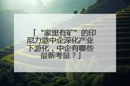 “家里有矿”的印尼力邀中企深化产业下游化，中企有哪些最新考量？