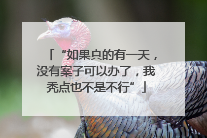 “如果真的有一天，没有案子可以办了，我秃点也不是不行”