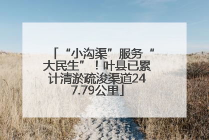 “小沟渠”服务“大民生”！叶县已累计清淤疏浚渠道247.79公里