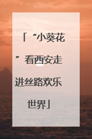“小葵花”看西安走进丝路欢乐世界