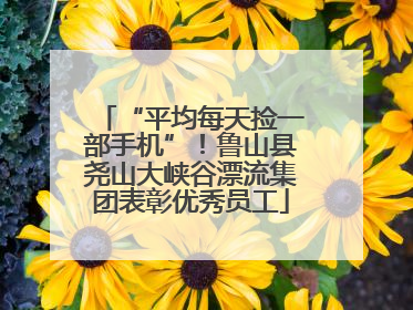 “平均每天捡一部手机”！鲁山县尧山大峡谷漂流集团表彰优秀员工