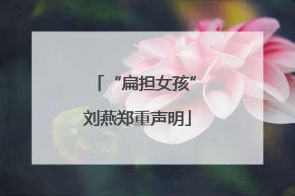“扁担女孩”刘燕郑重声明