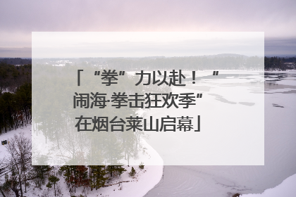 “拳”力以赴！“闹海·拳击狂欢季”在烟台莱山启幕