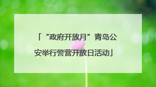 “政府开放月”青岛公安举行警营开放日活动