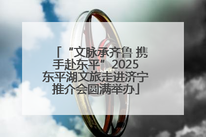 “文脉承齐鲁 携手赴东平”2025东平湖文旅走进济宁推介会圆满举办