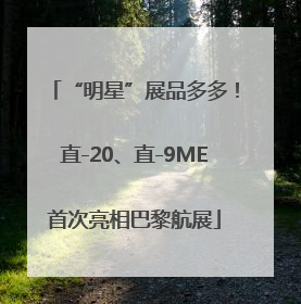 “明星”展品多多！直-20、直-9ME首次亮相巴黎航展