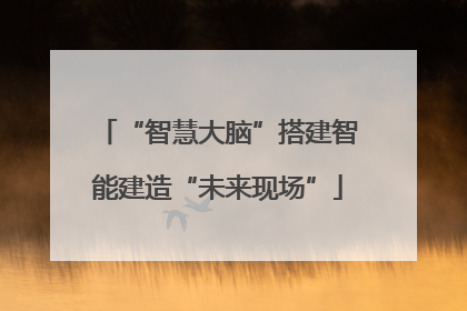 “智慧大脑”搭建智能建造“未来现场”