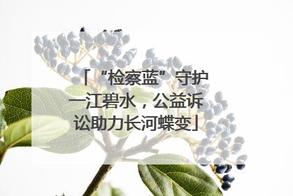 “检察蓝”守护一江碧水，公益诉讼助力长河蝶变