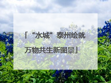 “水城”泰州绘就万物共生新图景