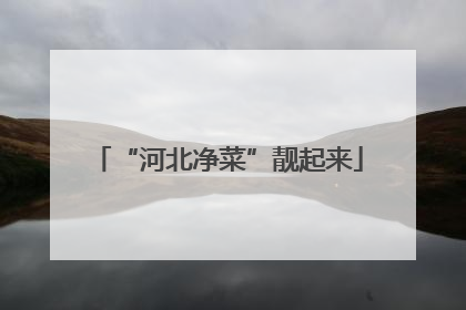 “河北净菜”靓起来