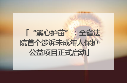 “溪心护苗”:全省法院首个涉诉未成年人保护公益项目正式启动