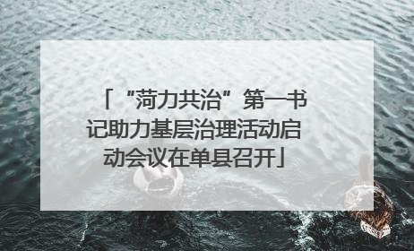 “菏力共治”第一书记助力基层治理活动启动会议在单县召开